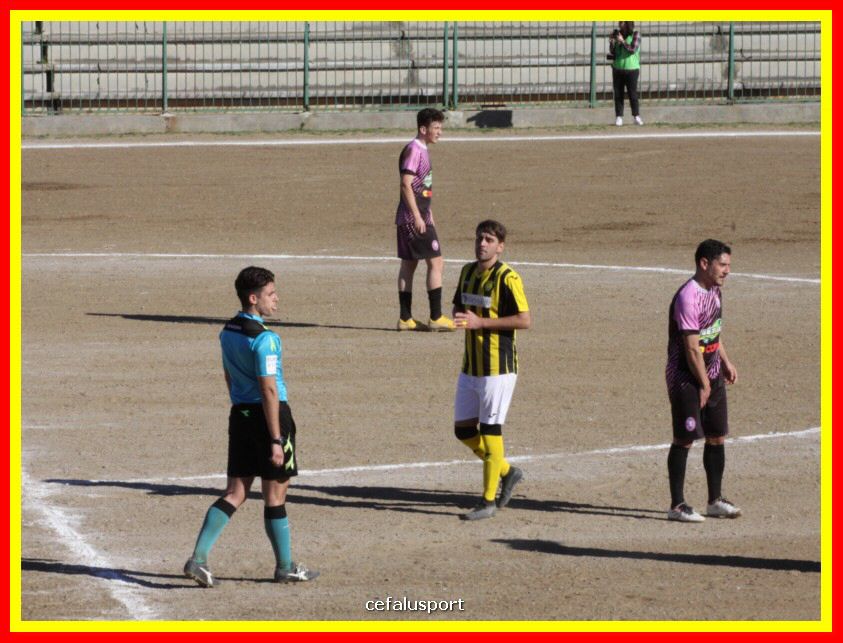 190310 Cephal_Torrenov 097_tn.jpg